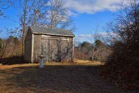 Cranberry Hill Cattery views of birds and wildlife