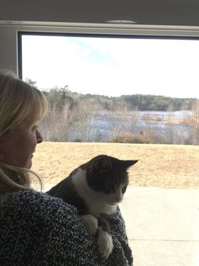 Owner Jean Pasqualucci with cat looking out large glass window at cranberry bogs