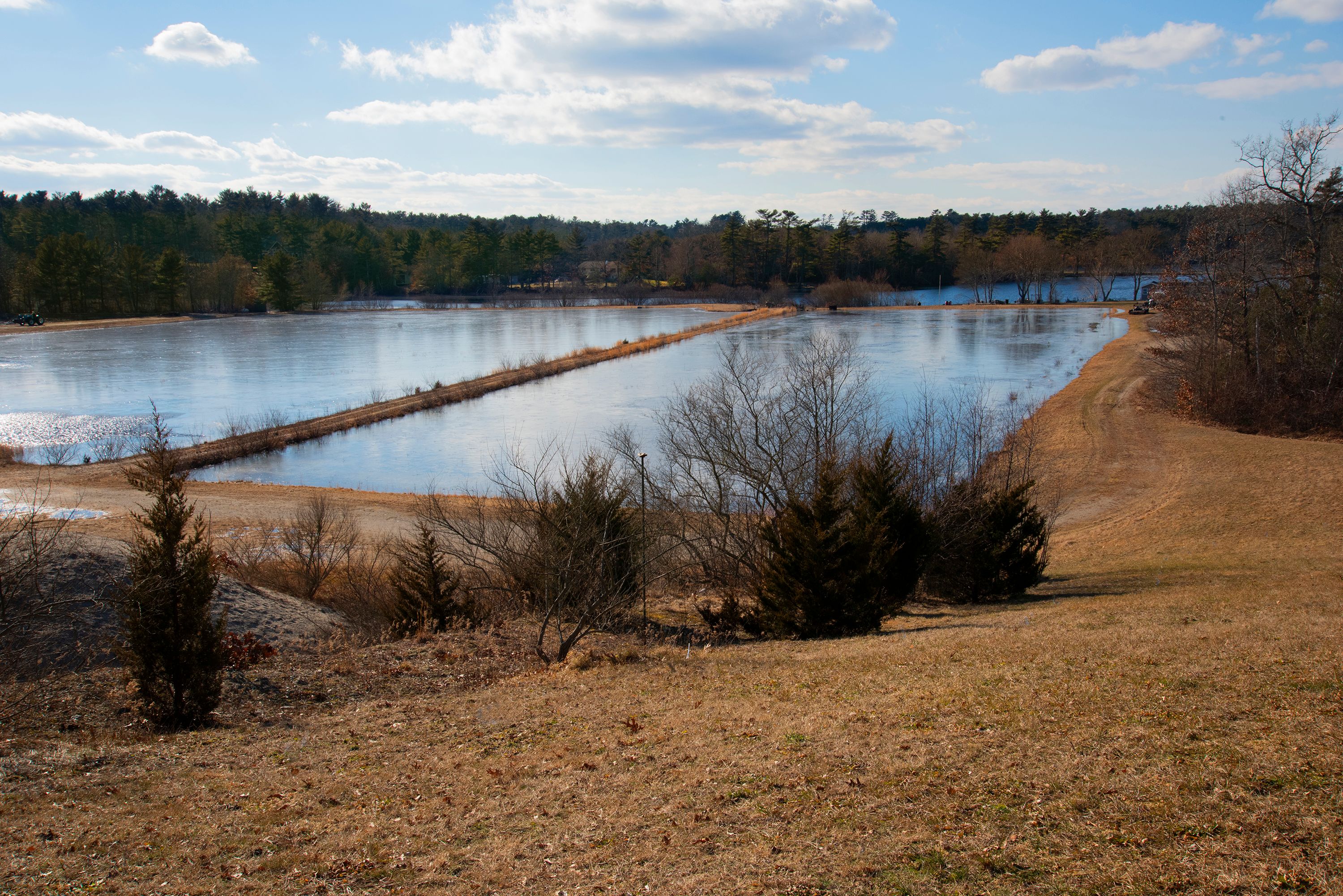 Beautiful view of lake and cranberry bogs from Cranberry Hill Cattery Luxury cat boarding accomodations