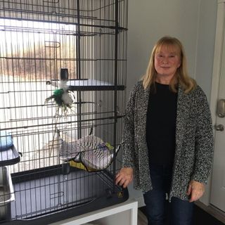 Photo of owner next to cat condo