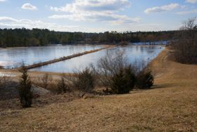 Cranberry Hill Cattery views of cranberry bogs and lake